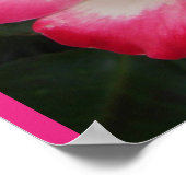 Affiche de jardin de fleurs de rose rouge (Coin)
