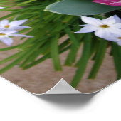 Affiche de jardin de printemps petites choses Tuli (Coin)
