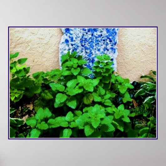 Affiche de jardin d'herbes de mélisse (Devant)
