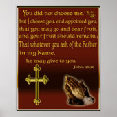 Affiche de John 15:16 (Devant)