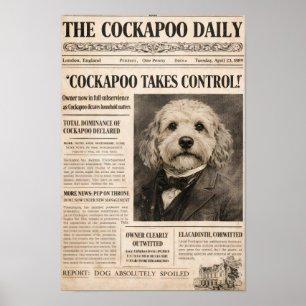 Affiche de journal vintage Cockapoo Chien Art mura