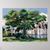 Affiche de Kapok Tree (Devant)