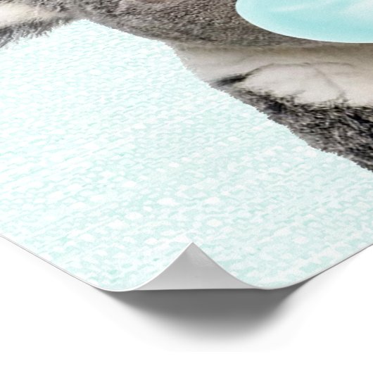 Affiche de koala soufflant un bubble gum bleu (Coin)