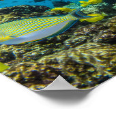 Affiche de la baie de Hanauma Hawaii (Coin)