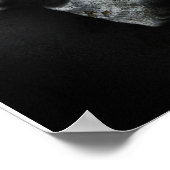 Affiche de la baleine de Channel (Coin)