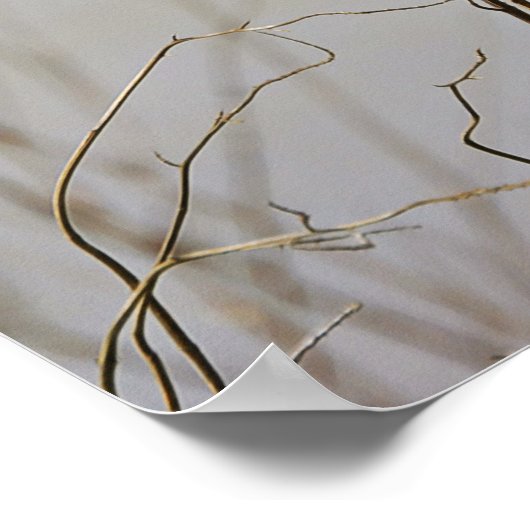 Affiche de la Bible des oiseaux chanteurs (Coin)