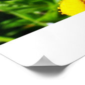 Affiche de la Buttercheeta (Coin)