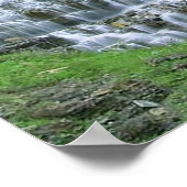 Affiche de la cascade de campagne irlandaise (Coin)