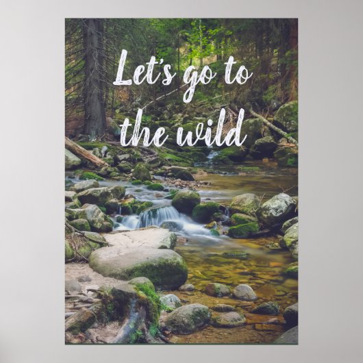 Affiche de la cascade de forêt (Devant)