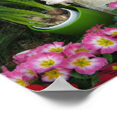 Affiche de la chambre de Luna (Coin)