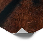 Affiche de la chouette à grande corne Imprimer (Coin)