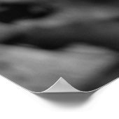 Affiche de la chute de Dandelion (Coin)