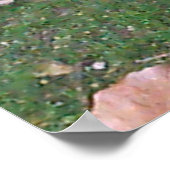 Affiche de la cigogne (Coin)