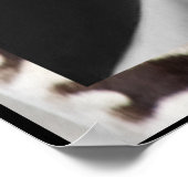 affiche de la citation de Virginia Woolf & Writing (Coin)