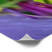 Affiche de la colonne du Colorado (Coin)