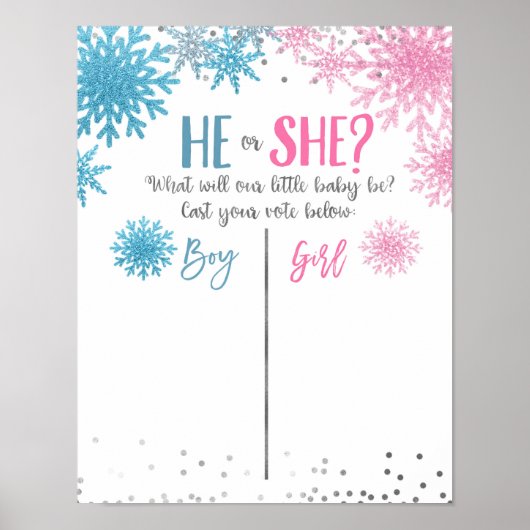 Affiche de la Commission électorale du flocon de n (Devant)