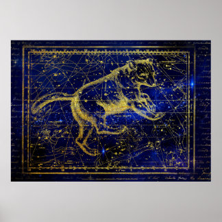affiche de la constellation majeure ursa