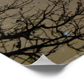 Affiche de la constellation Ojibwe (Coin)