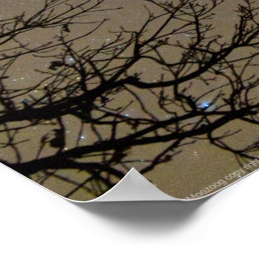 Affiche de la constellation Ojibwe (Coin)