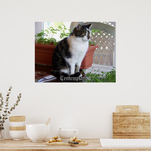 affiche de la contemplation du chat (Cuisine)