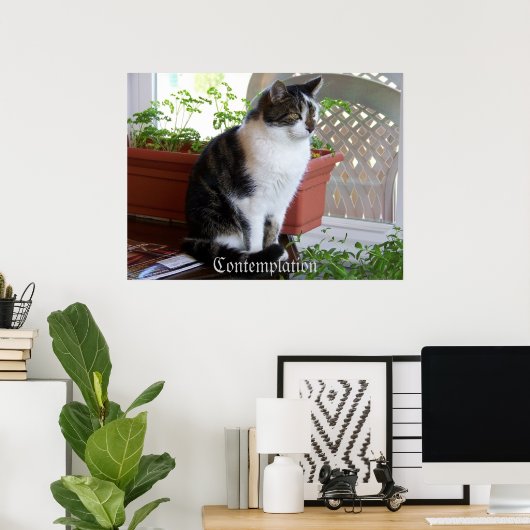 affiche de la contemplation du chat (Bureau à domicile)