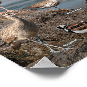 Affiche de la côte du Pacifique (Coin)