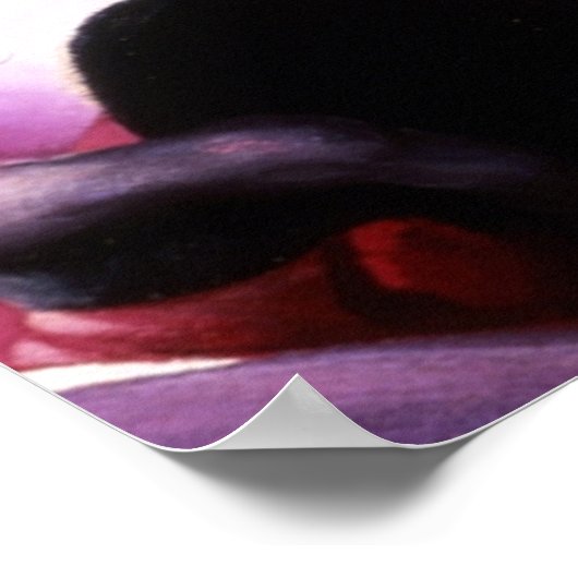 affiche de la discothèque harlem (Coin)