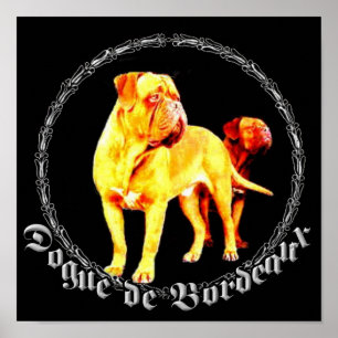 Affiche de la Dogue de Bordeaux