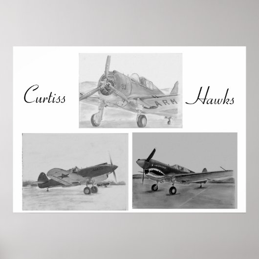 Affiche de la famille Curtiss Hawk (Devant)