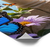 Affiche de la Fée aux Ailes de Papillon (4) (Coin)