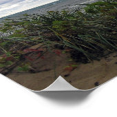 Affiche de la Fête de l'orage (Coin)