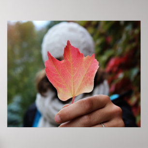 Affiche de la feuille d'automne