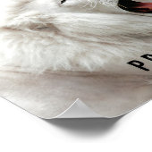 affiche de la fierté du lion blanc (Coin)