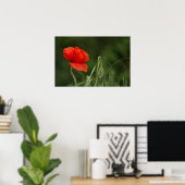 Affiche de la fleur de pavot - Grâce solitaire (Bureau à domicile)