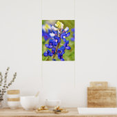 Affiche de la fleur sauvage Bluebonnet du Texas (Cuisine)