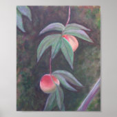 Affiche de la FLORIDE PEACHES (Devant)