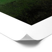 affiche de la forêt de baobab Africa de 8.99 (Coin)