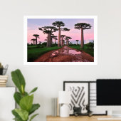 affiche de la forêt de baobab Africa de 8.99 (Bureau à domicile)