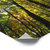 Affiche de la forêt de Bieszczady (Coin)