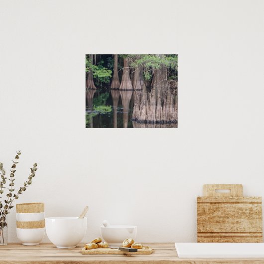 affiche de la forêt de Cypress Tree (Cuisine)