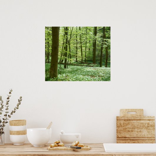 affiche de la forêt tranquille (Cuisine)