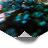 Affiche de la Grande barrière de corail (Coin)