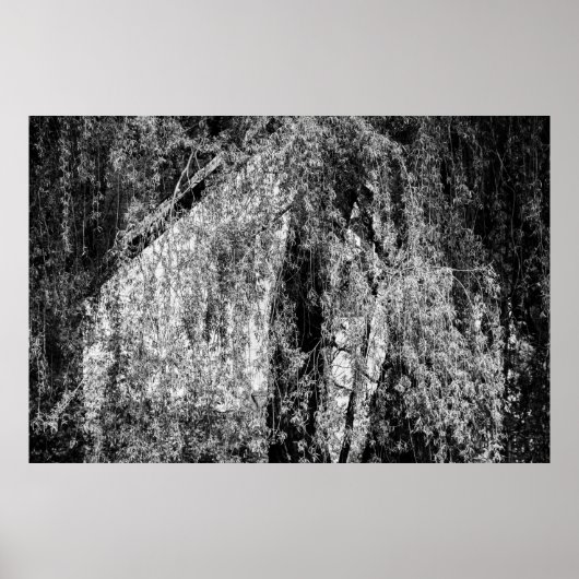 affiche de la maison de la vie (Devant)