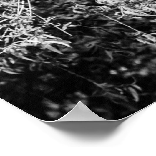 affiche de la maison de la vie (Coin)