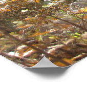 Affiche de la Majesté d'automne (3) (Coin)