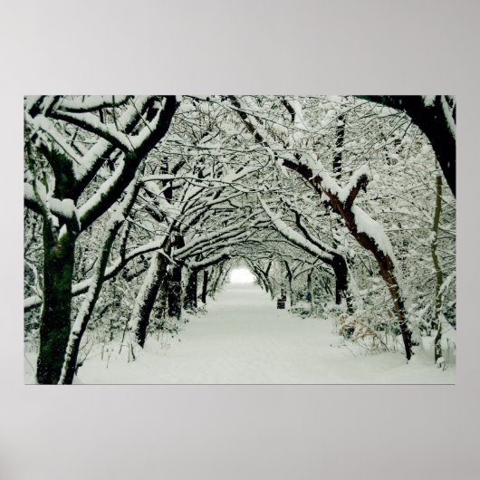Affiche de la marche d'hiver (Devant)