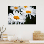 Affiche de la marguerite d'été (Cuisine)