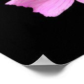 Affiche de la mauve musquée (Coin)