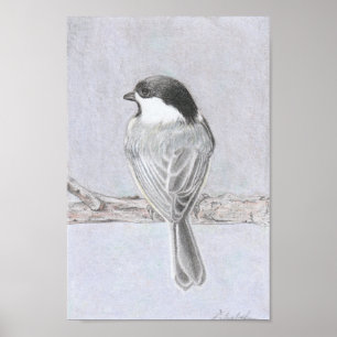 Affiche de la mésange à tête noire