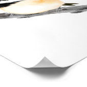 Affiche de la mésange imprimer (Coin)